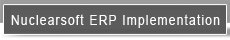 Nuclearsoft ERP Implementation